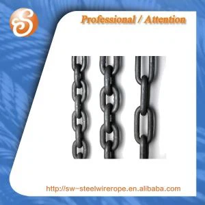 Catena di sollevamento